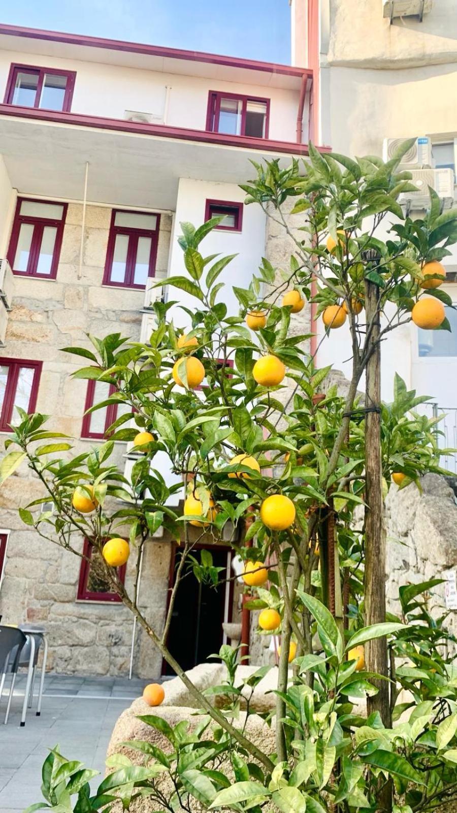 Invicta Porto Guest House Exterior foto